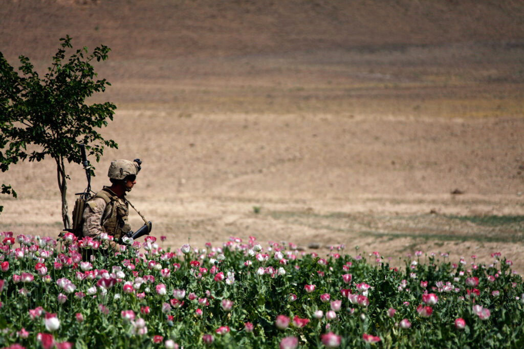 Afghanistan: gli Usa non erano parte della soluzione, ma del problema